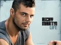 Ricky Martin - Life (song) + Lyrics