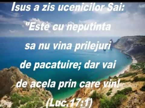 DACA VRABII POT SA CADA-cantare crestina