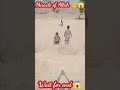 Allah Hu Akbar ️ Miracle Of Allah ️ Islam Gesi Baglari Shorts