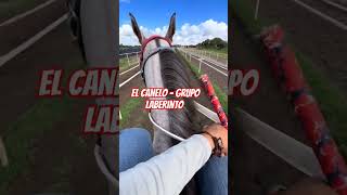El canelo - grupo laberinto