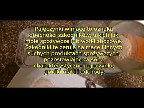 Ostateczna konkluzja.