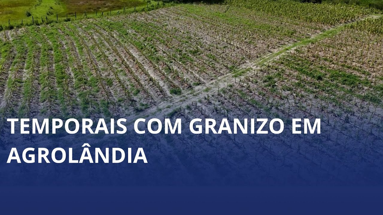 Prejuízos com granizo em Agrolândia