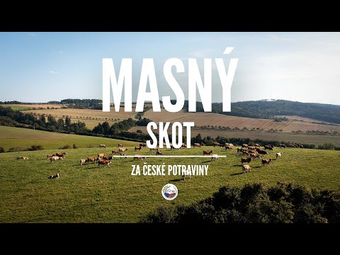 , title : 'MASNÝ SKOT | Co je masné plemeno | Za české potraviny'