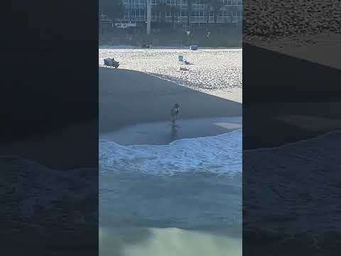 Dan and Eli - Aguamarina !!