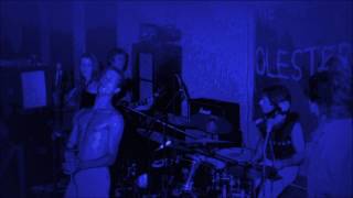 The Molesters - Disco Love (Peel Session)