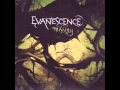 Evanescence - Missing