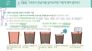 [초등과학 4-1 무료강의] 3. 식물의 한살이 ② 식물을 기르면서 한살이를 알아보려면 어떻게 해야 할까요?