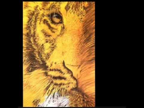 Tangerine Dream (1987) Tyger [Full Album]