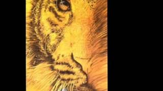 Tyger Music Video