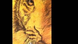 Tangerine Dream (1987) Tyger [Full Album]