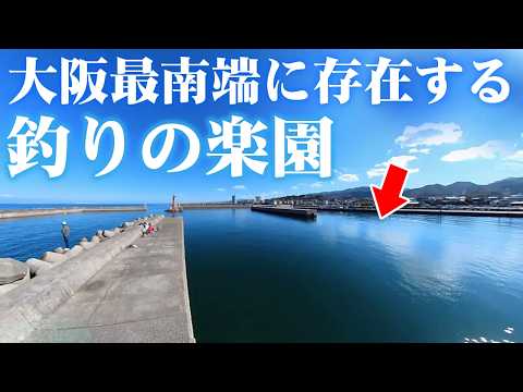 【隠れた釣りスポット】大阪最南端に存在する &ldquo;釣りの楽園&rdquo; 岬町を徹底解説。大物が狙えるとっとパーク小島・深日港・淡輪漁港を完全ガイド。
