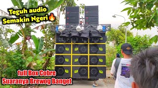 Download lagu Cek Sound Teguh audio Titisan Brewog Purwodadi Ful... mp3