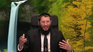 הרב אייל אונגר- פרשת בשלח - עקשנות: פחד מחולשה בתחפושת של כוח (הרב אייל אונגר) - התמונה מוצגת ישירות מתוך אתר האינטרנט יוטיוב. זכויות היוצרים בתמונה שייכות ליוצרה. קישור קרדיט למקור התוכן נמצא בתוך דף הסרטון