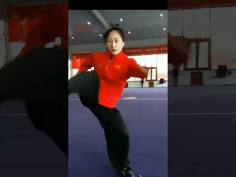 天津武林那些事&mdash;&mdash;天津武术队，南拳李奕萱