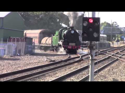 2014 NSW Steam Season Review - NSW Steam Locomotives Throughout 2014 - Part 1