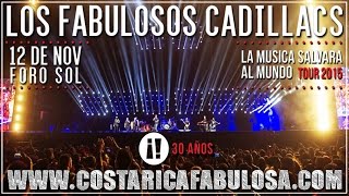 Los Fabulosos Cadillacs | 30 Años - Foro Sol | Distrito Federal, México | 12 Noviembre 2015