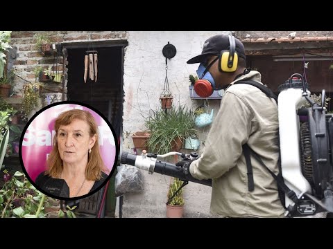 Dengue en Santa Fe: La Capital es el segundo departamento con más casos, por detrás de Rosario.