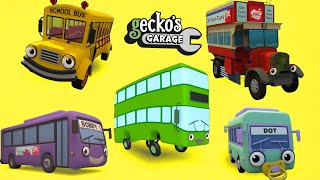 Counting Five Big Buses | Gecko's Garage | Educational Videos For Toddlers | Buses For Children