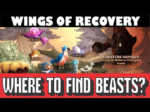 Where to find Magical Beasts? Wings of Recovery | Harry Potter: Magic Awakened
