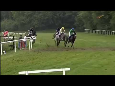 2016.07.31 Preis der Bauwirtschaft und der AGP Bauzentrum GmbH, Wernigerode (GER) - Elegant Song