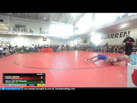 110 Lbs Round 1 (8 Team) - Gavin Green, Pennsylvania Blue Vs Braylon Reynolds, Indiana Gold B066