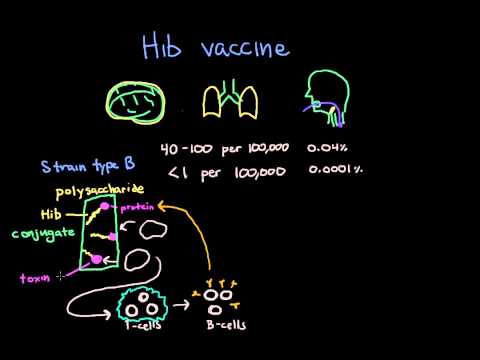 Hib Vaccine