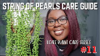 YOU Keep Killing THIS plant!!💀 | String of Pearls Care Guide