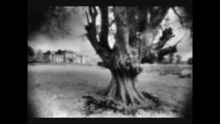 Ani DiFranco &quot;Parameters&quot;