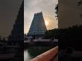 Arunachala Shiva Temple Vibes Tiruvanamalai