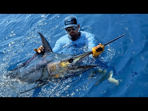 Food Chain Fishing Challenge 3 - Flying Fish to Blue Marlin