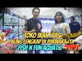 Jual Ikan Hias Di Purwakarta