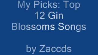 My Picks: Top 12 Gin Blossoms Songs