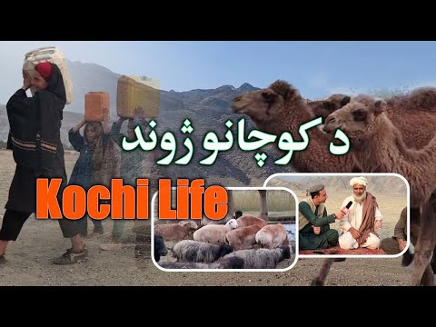Kochan د کوچيانو ژوند