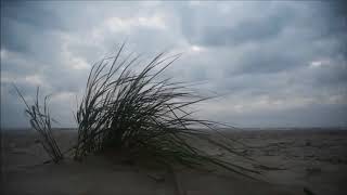 just a man - matt bear (original song)