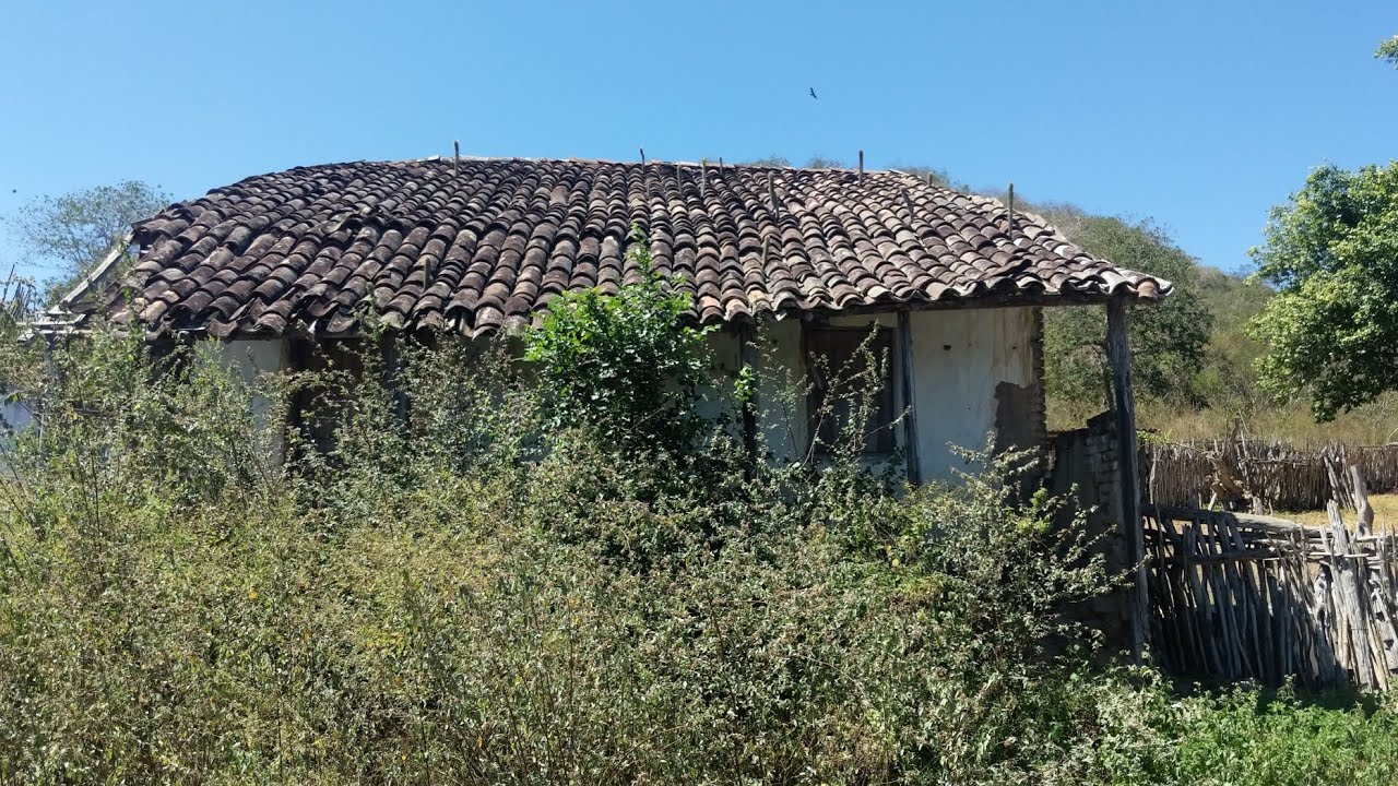 Nordeste e Bacamarte na casa onde o Cangaceiro Antônio Silvino passou!
