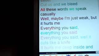 Lenka- dangerous and sweet lyrics