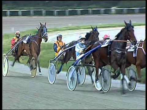 Trotto 14/02/2016 - 5° corsa