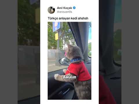 Daha fazlası için takip etmeyi unutmayın kardeşlerim