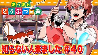 【あつまれどうぶつの森】ご新規２名様ご来店です！ ＃４０ 【にじさんじ / 赤城ウェン】