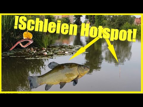 Fishing for tench with worm and canned corn successfully with float and bottom rig at the village...