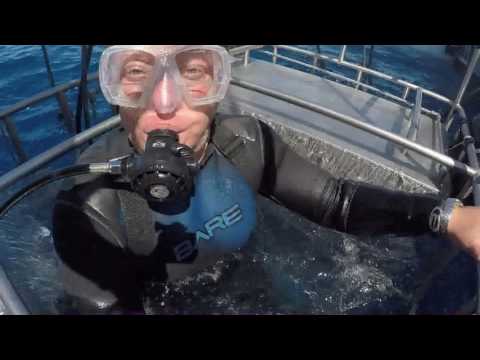 Shark Diving off Guadalupe Island.