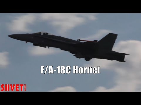 F/A-18C Hornet Afterburning Takeoff [50 FPS] - FinAF 100 Years