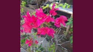 Download lagu Senyumlah Menyambut Pagi mp3