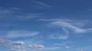 Vingar - Anna Christoffersson