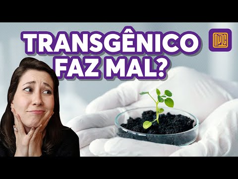 Faz mal consumir transgênicos?