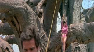 Download lagu Cara bertahan hidup di safari Afrika, film komedi 😂 mp3 Download lagu Cara bertahan hidup di safari Afrika, film komedi 😂 mp3