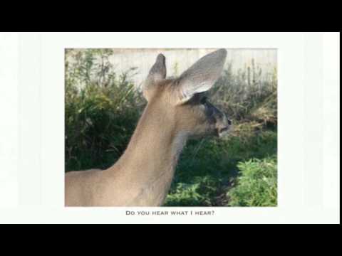 Fellow Mortals--Compassion Changes Everything