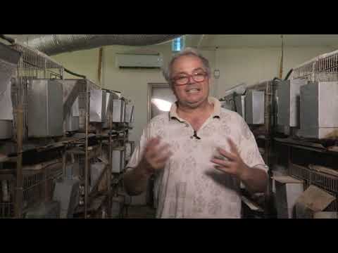 Može bolje ep.64 25.06.2018. - Uzgoj kunića