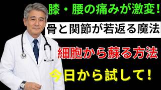 60代から始める簡単健康習慣｜ゼラチンで筋力・睡眠・目の潤いを守る方法【老後の不安を減らす秘訣】