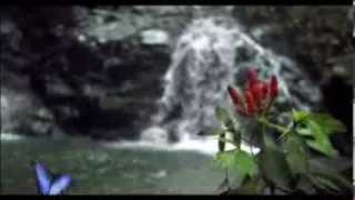 Sueño Dorado - Abel Pintos